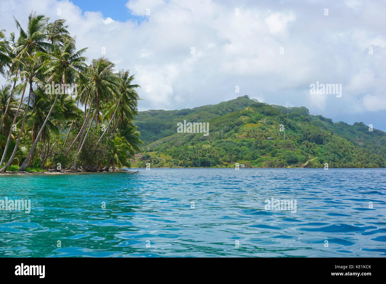 Französisch Polynesien Huahine Island Küstenlandschaft mit Kokosnuss Palmen von der Lagune in der Nähe von faie gesehen, South Pacific Ocean, Ozeanien Stockfoto