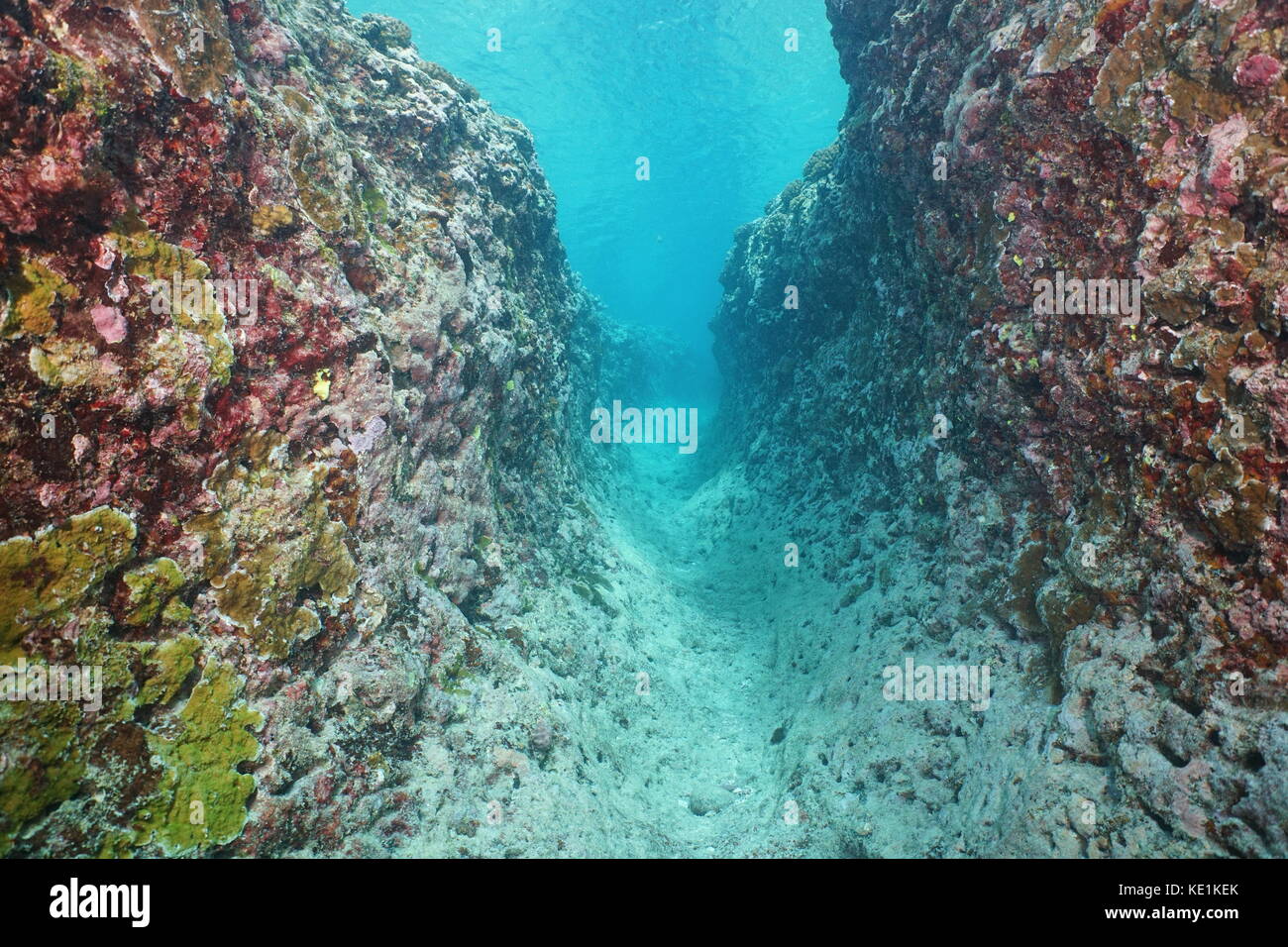 Unterwasser Graben in die äußeren Riff durch natürliche Erosion, Huahine Island, South Pacific Ocean, Französisch-Polynesien, Ozeanien Stockfoto