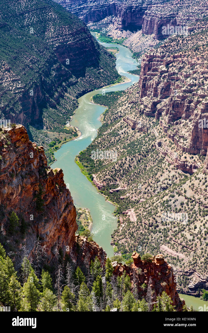 Green River Canyon, Dinosaur National Monument, Utah und Colorado, USA Stockfoto