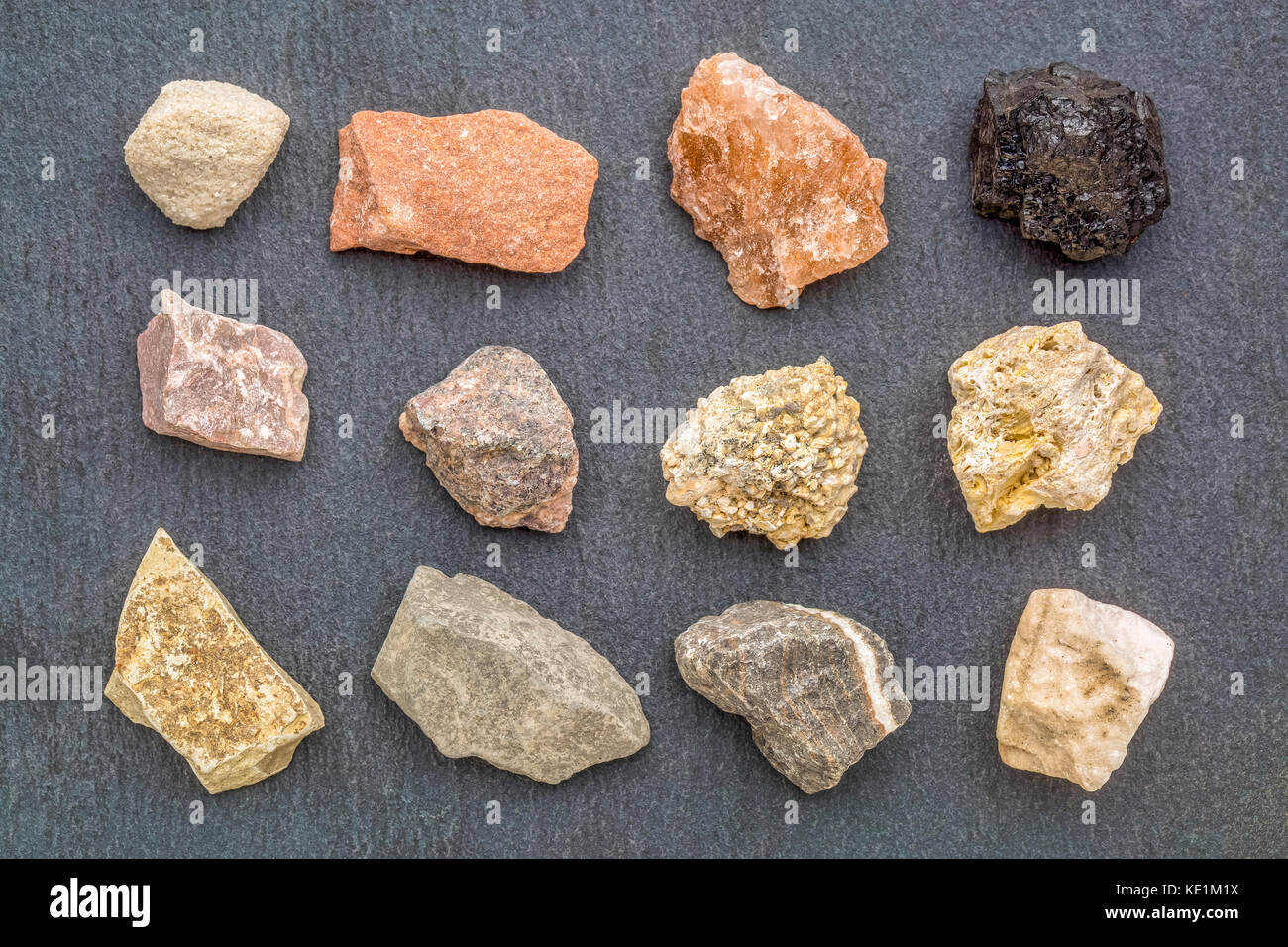 Sedimentgestein Geologie Sammlung, von links oben: siltstone, Sandsteinfelsen Salz, Kohle, Kalkstein, arkose, Konglomerat, fossiliferous Kalkstein, mu Stockfoto