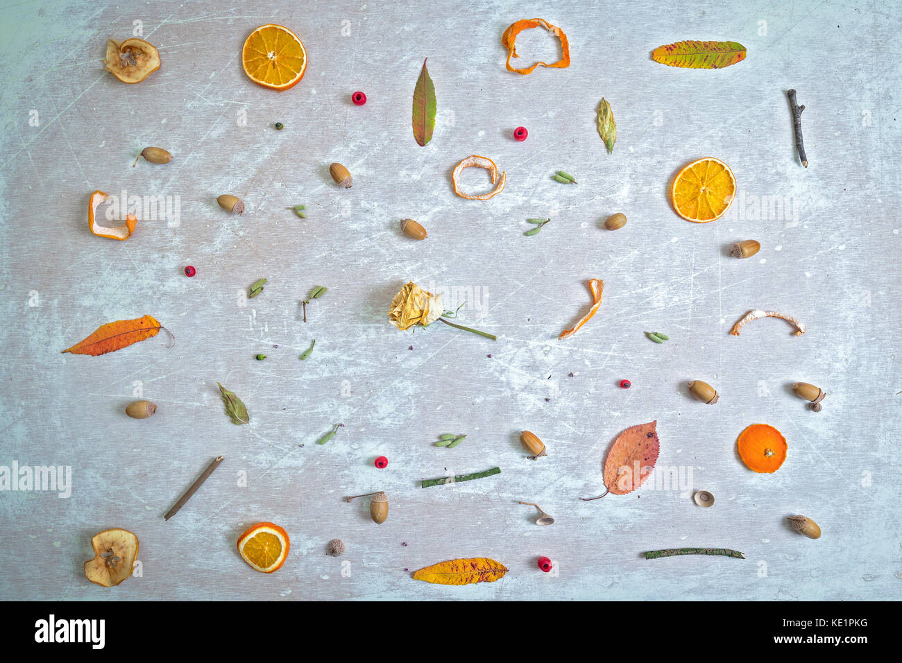 Flach Zusammensetzung der getrocknete organische Objekte auf hellen Scratchy Hintergrund Stockfoto