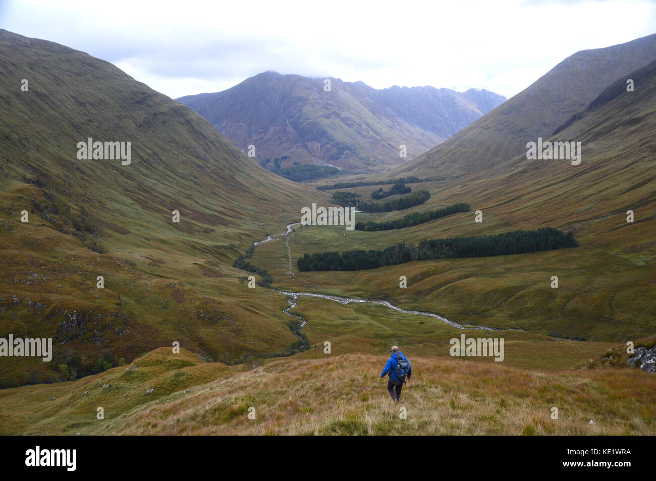 Einsamer Wanderer absteigend die Corbett meall lighiche in gleann - leac-na-muidhe mit den munros sgorr Nam fiannaidh und meall dearg in Glencoe gerade vor. Stockfoto