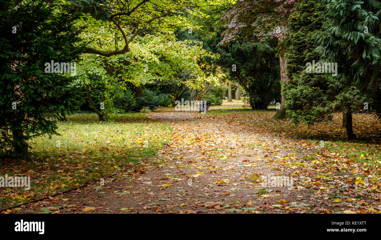 Der große Garten ist eine barocke Park im Zentrum von Dresden. Einen schönen Pfad schlängelt sich durch den Park an einem stürmischen Tag im Oktober Stockfoto