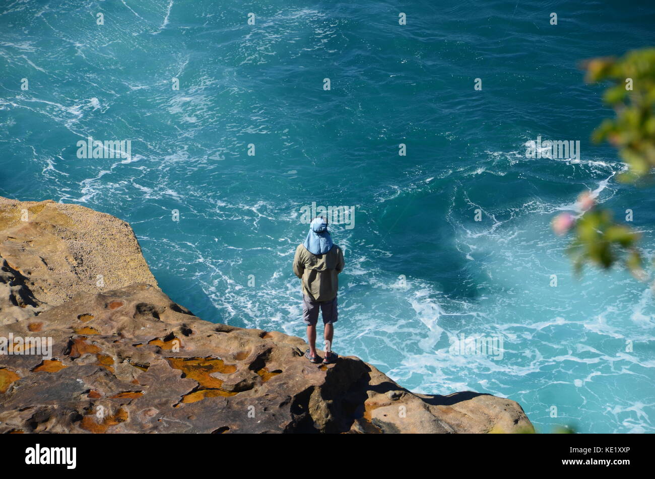 Die Farben der Natur - Watson Bay Stockfoto