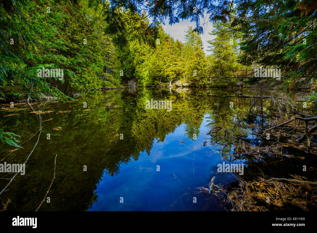 Rockwood Naturschutzgebiet in Ontario. Nordamerika Stockfoto