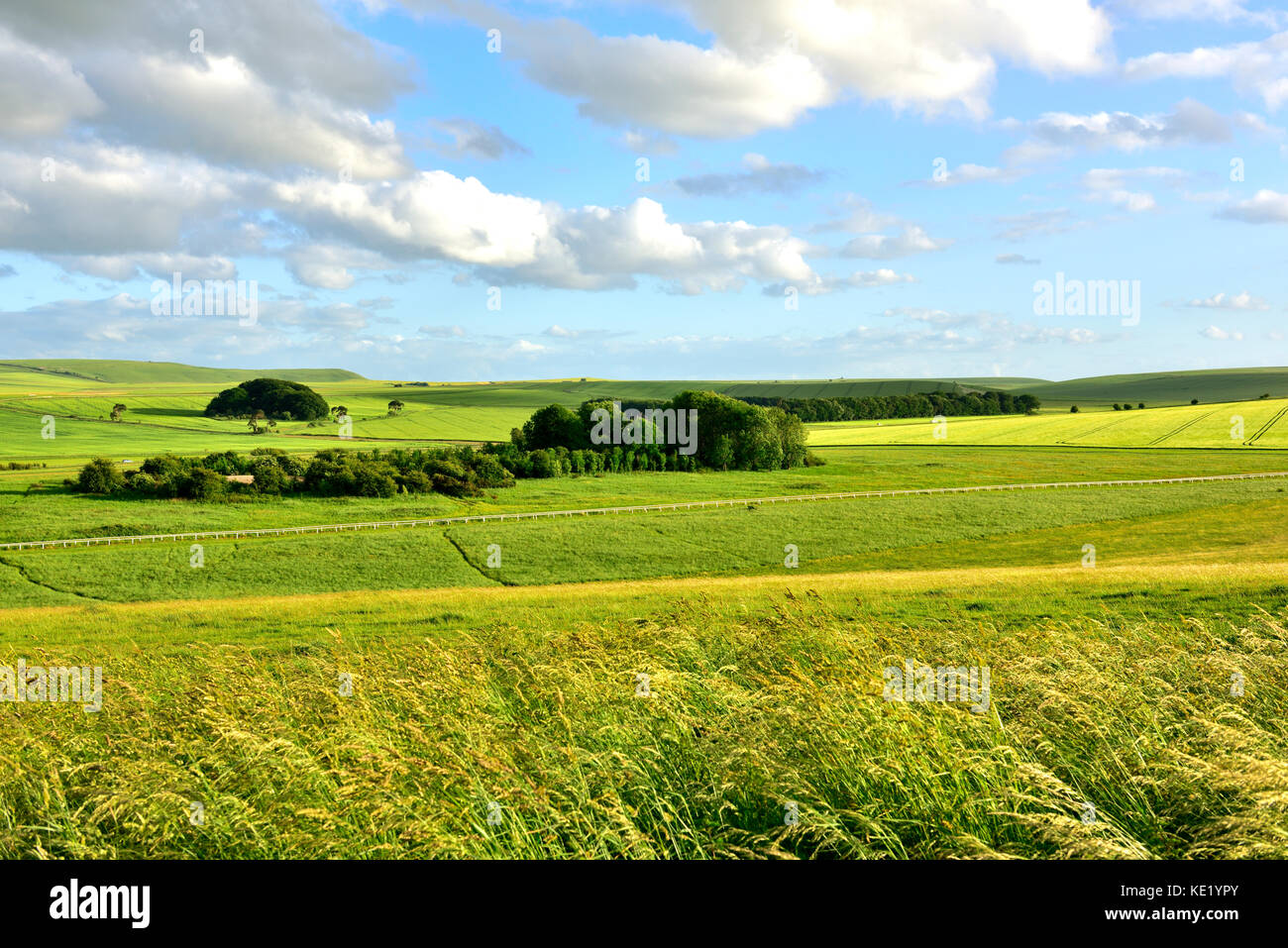 Wiltshire grünen Landschaft im Sommer Stockfoto