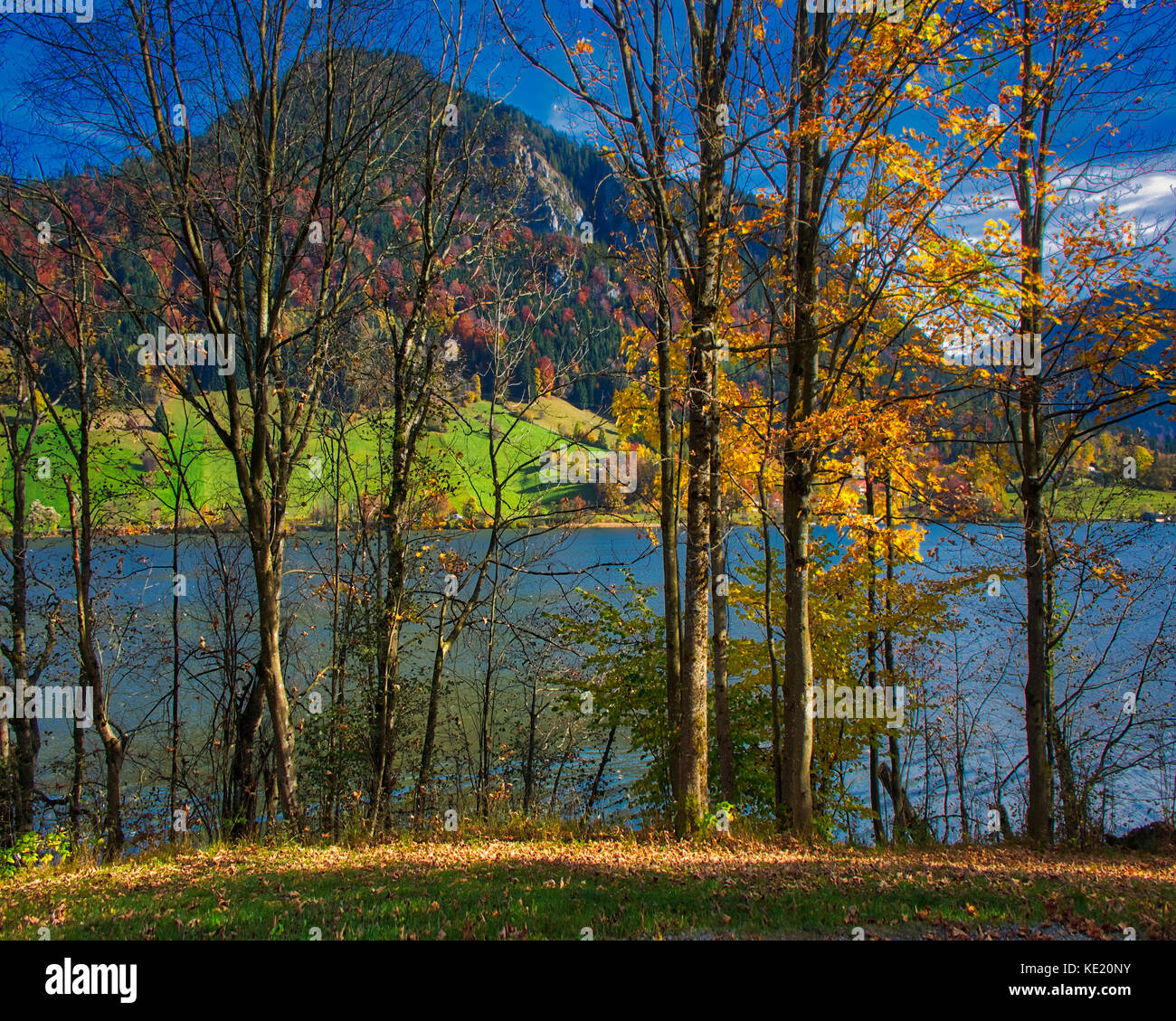 De - Bayern: herbstliches Szene entlang des Lake Schliersee Stockfoto