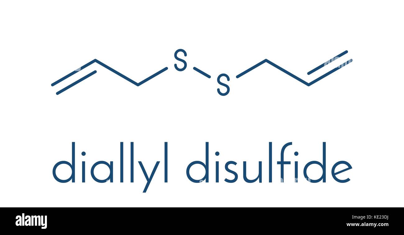 Aus Diallyl-phtalat disulfide Knoblauch Molekül. Eine der Verbindungen für Geschmack, Geruch und gesundheitlichen Wirkungen des Knoblauchs verantwortlich. Skelettmuskulatur Formel. Stock Vektor