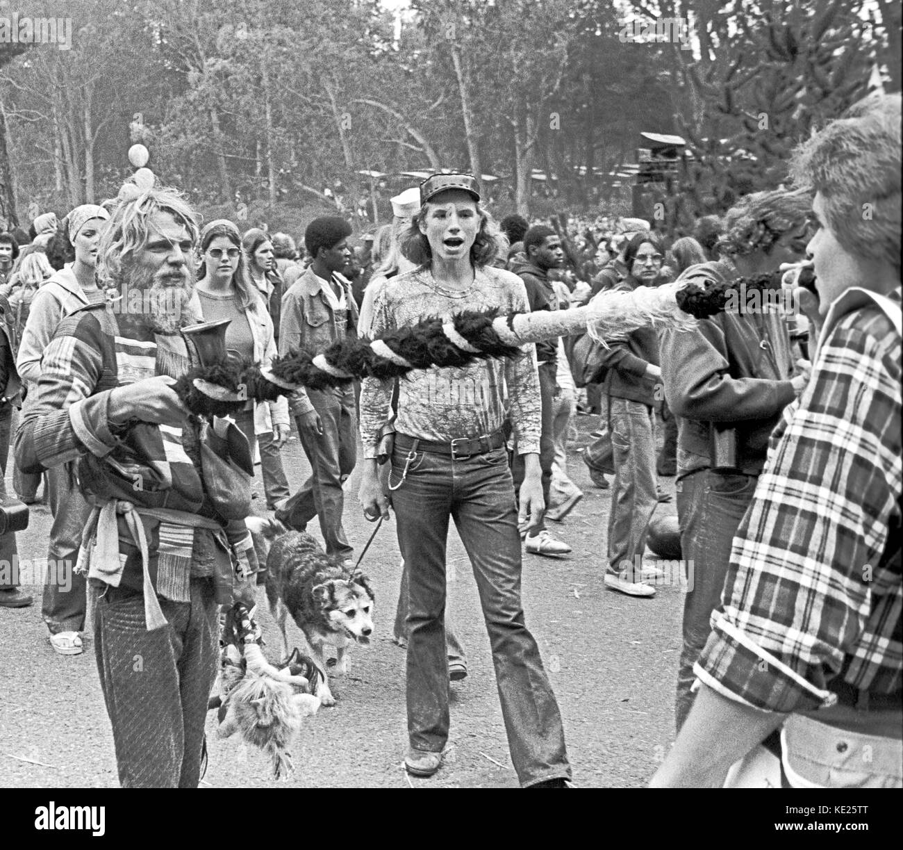 Lüfter an einem kostenlosen Rockkonzert im Golden Gate Park in San Francisco, 9/28/1975 Stockfoto