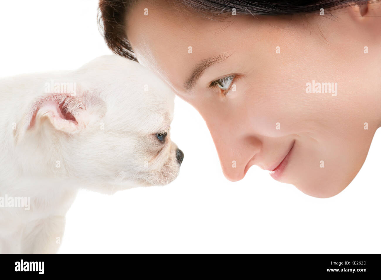 Lächelnde Frau mit kleinen weißen Chihuahua Welpen zu Gesicht. Freundschaft, Verständnis, Kommunikation und Support Thema. isoliert auf weißem Stockfoto