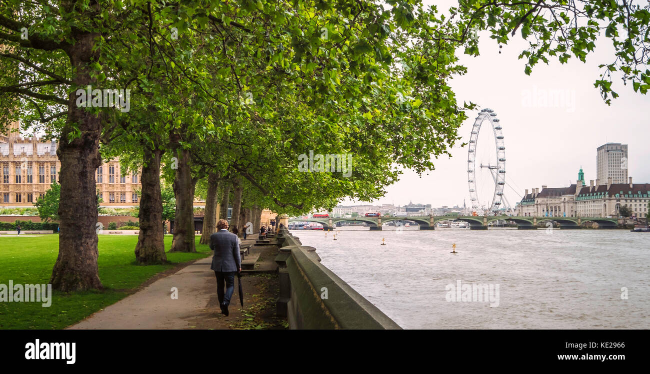 Ein Panoramablick auf die Szene der Rückansicht eines geeignet Mann zu Fuß auf dem Weg des Flusses in Victoria Tower Gardens in London Themse. Stockfoto