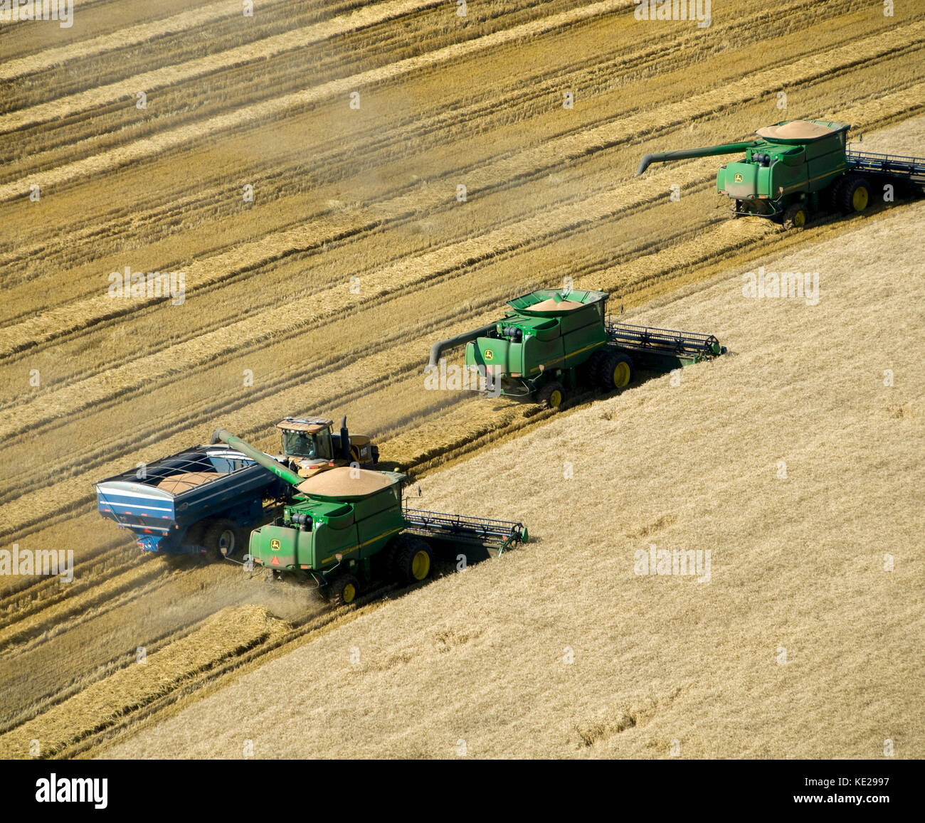 Luftaufnahme von drei John Deere Mähdrescher ernten 95 - 100 bu. Weizen in Texas Panhandle Stockfoto