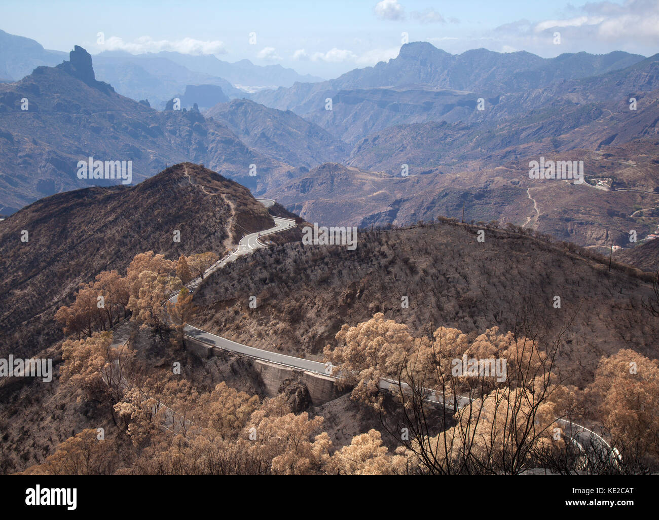 Gran Canaria, Las Cumbres, den höchsten Punkt der Insel, nach Waldbrand von September 2017, Ito caldera de Tejeda Stockfoto