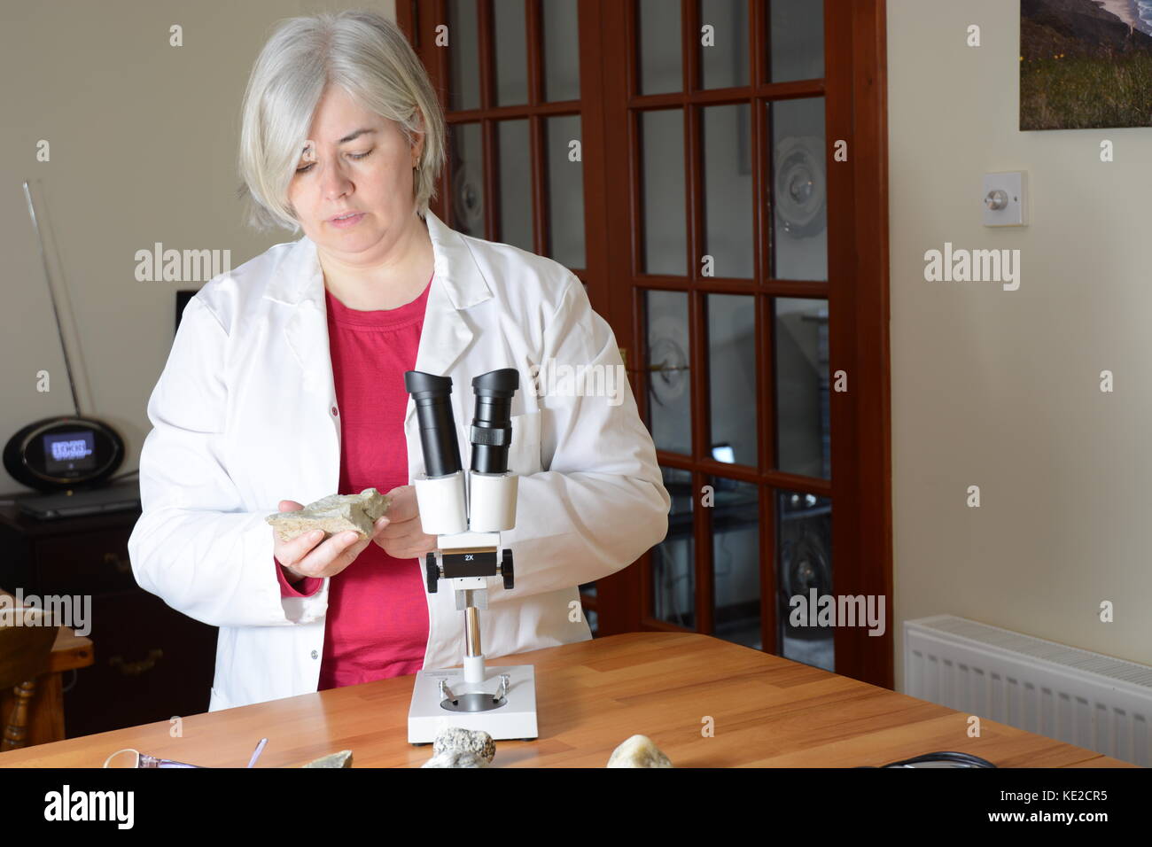 Wissenschaftlerin bei Rock suchen Stockfoto