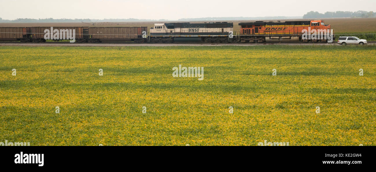Moorhead, Minnesota – Ein BNSF-Güterzug in westlicher Richtung fährt durch die Farmfelder im Westen von Minnesota. Stockfoto