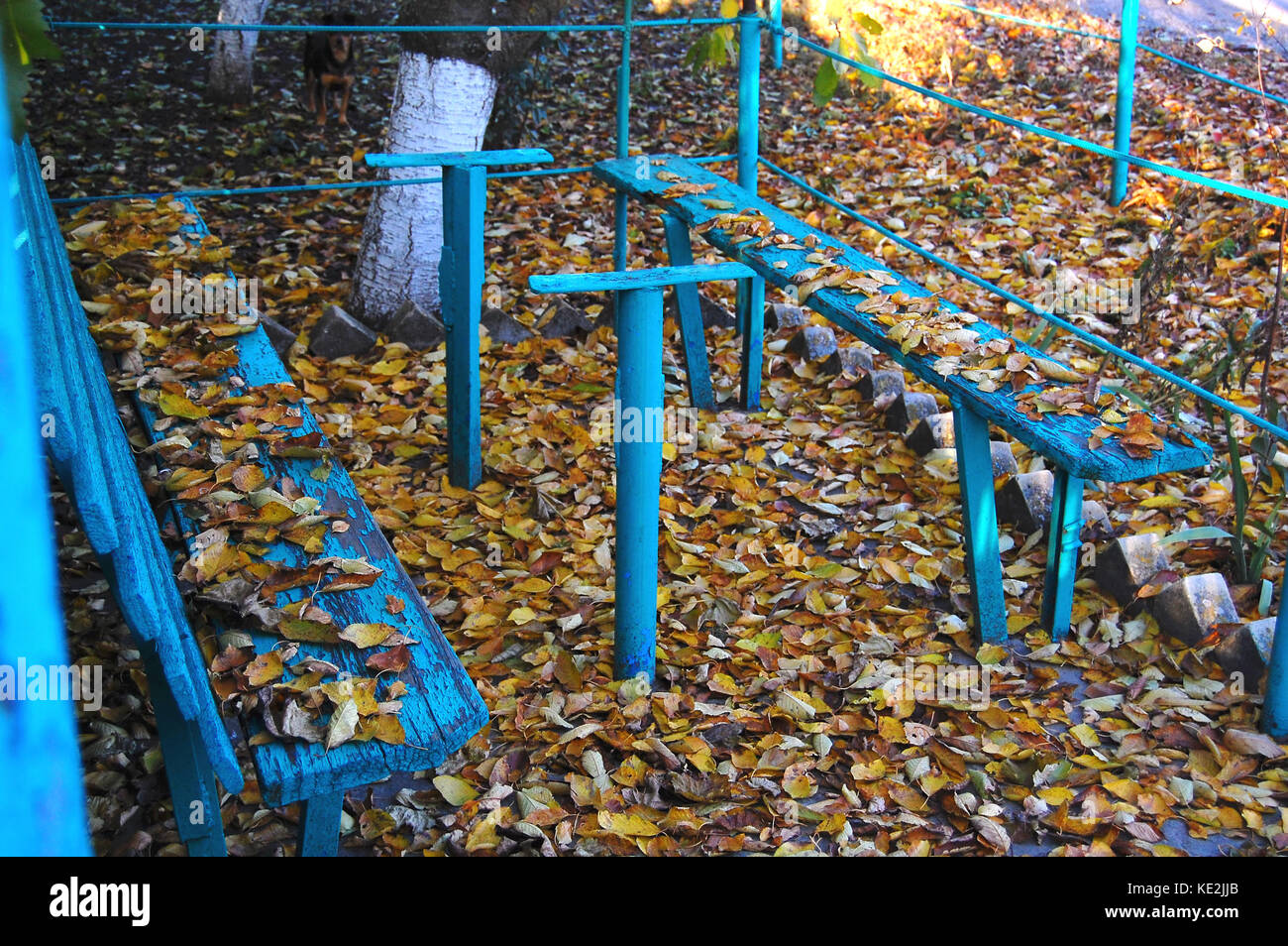 Alten blauen Holzbank und gefallenen Blätter im Herbst in einem ländlichen dooryard Stockfoto