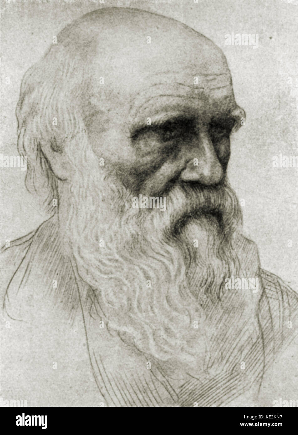Charles Darwin - Porträt des britischen Naturforschers. Zeichnung von Alphonse Legros. 12 Februar 1809 - 19. April 1882. Künstler AL: 8. Mai 1837 - vom 8. Dezember 1911 Stockfoto