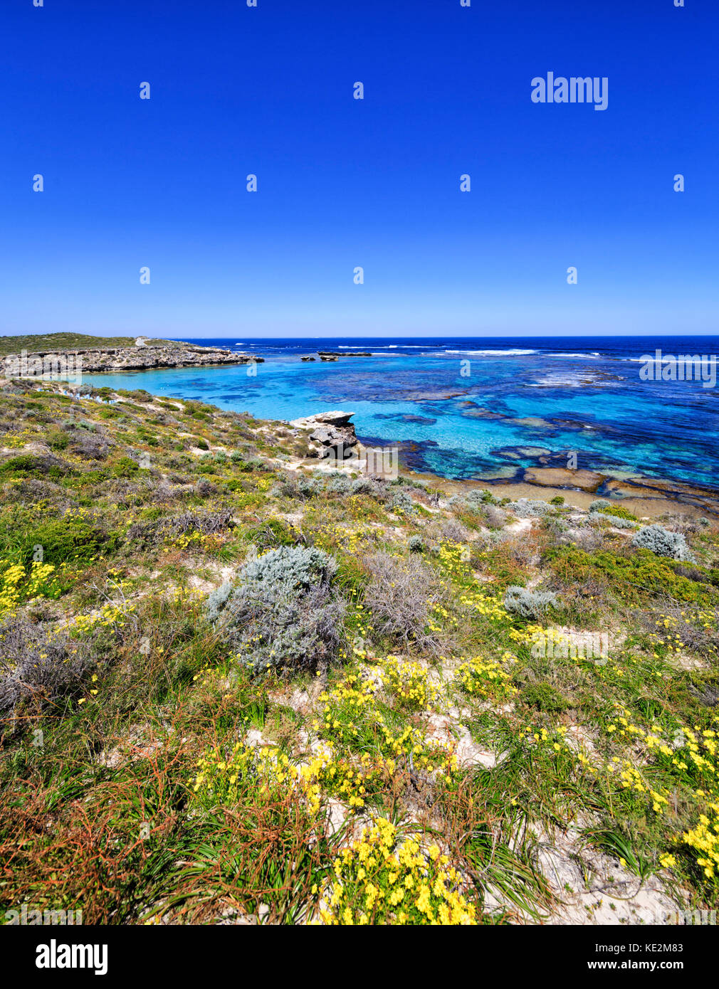 Schöne, klare Wasser bei Lachs Punkt auf die Insel Rottnest Island, Australien Stockfoto
