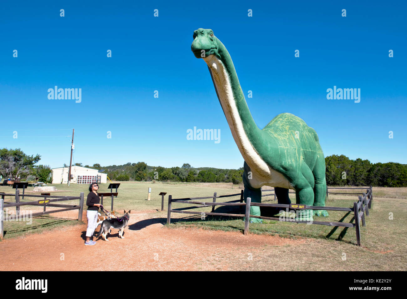 Glen Rose, Texas - Okt. 16-2017 Dinosaur Valley State Park in Glen Rose, TX in Dino Titel über 100 Millionen Jahre alt. Stockfoto
