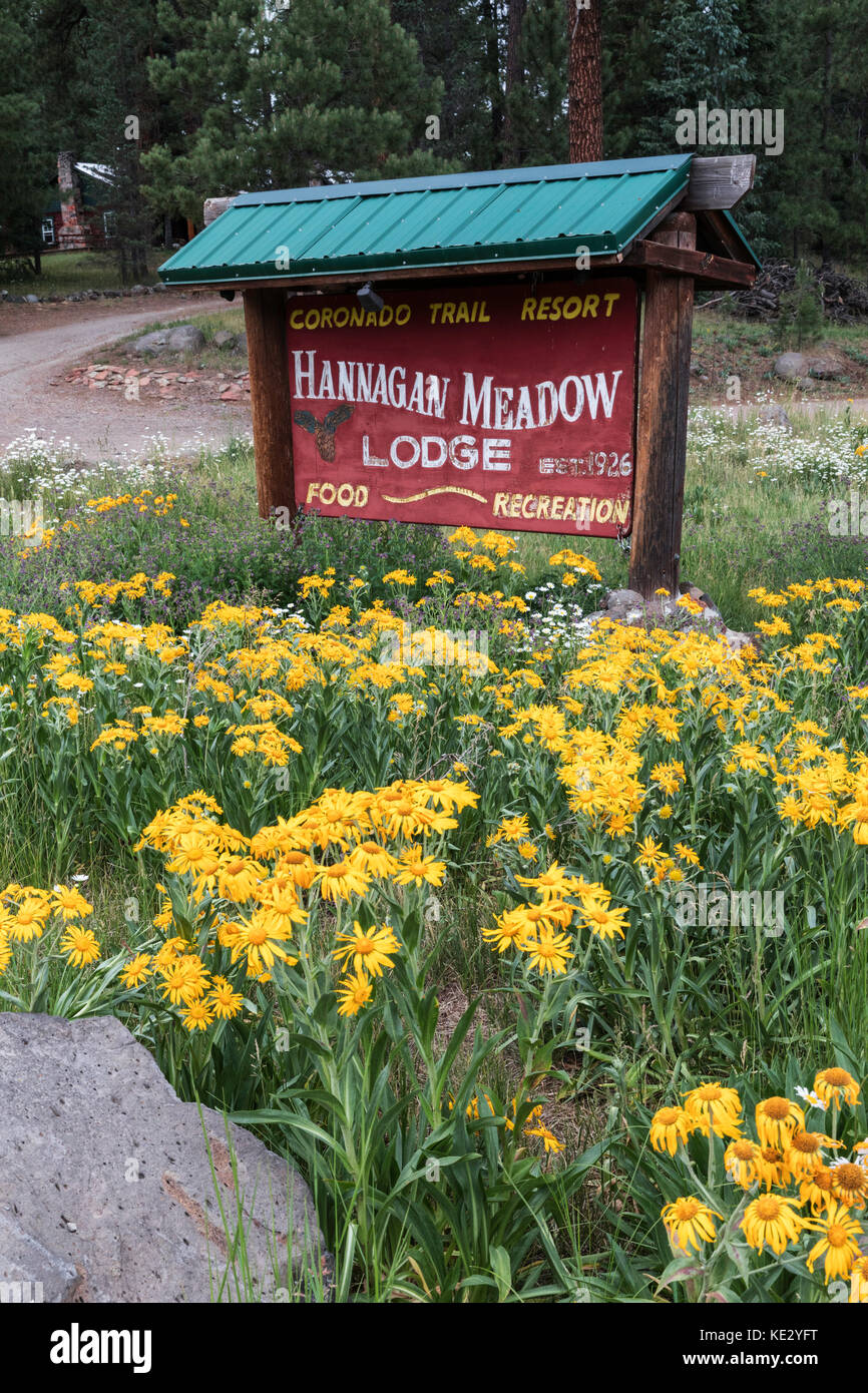 Eintritt zur Hannagan Meadow Lodge, Alpine, Arizona, USA Stockfoto