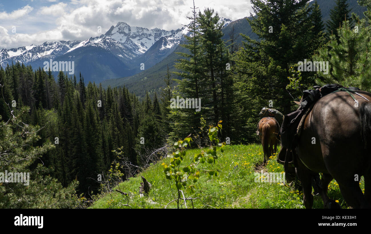 Ausritt mit Pferden, die auf einem Trail bergab geführt werden, Dickson Range Berge in der Ferne - der South Chilcotin Mountain Park, BC, Kanada Stockfoto