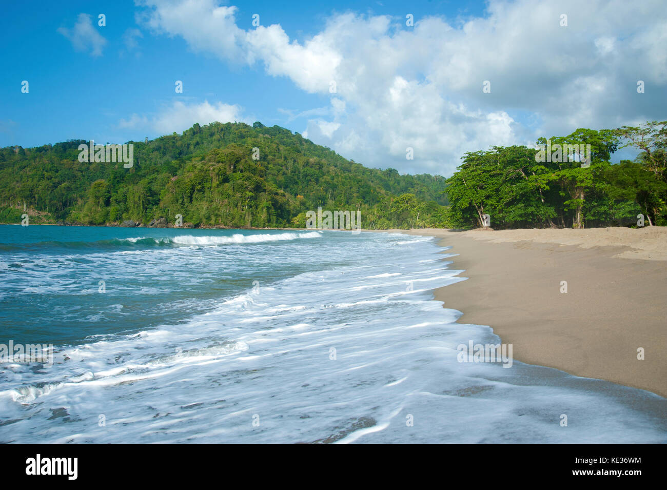 Grande Riviere, Nordküste, Trinidad, West Indies Stockfoto