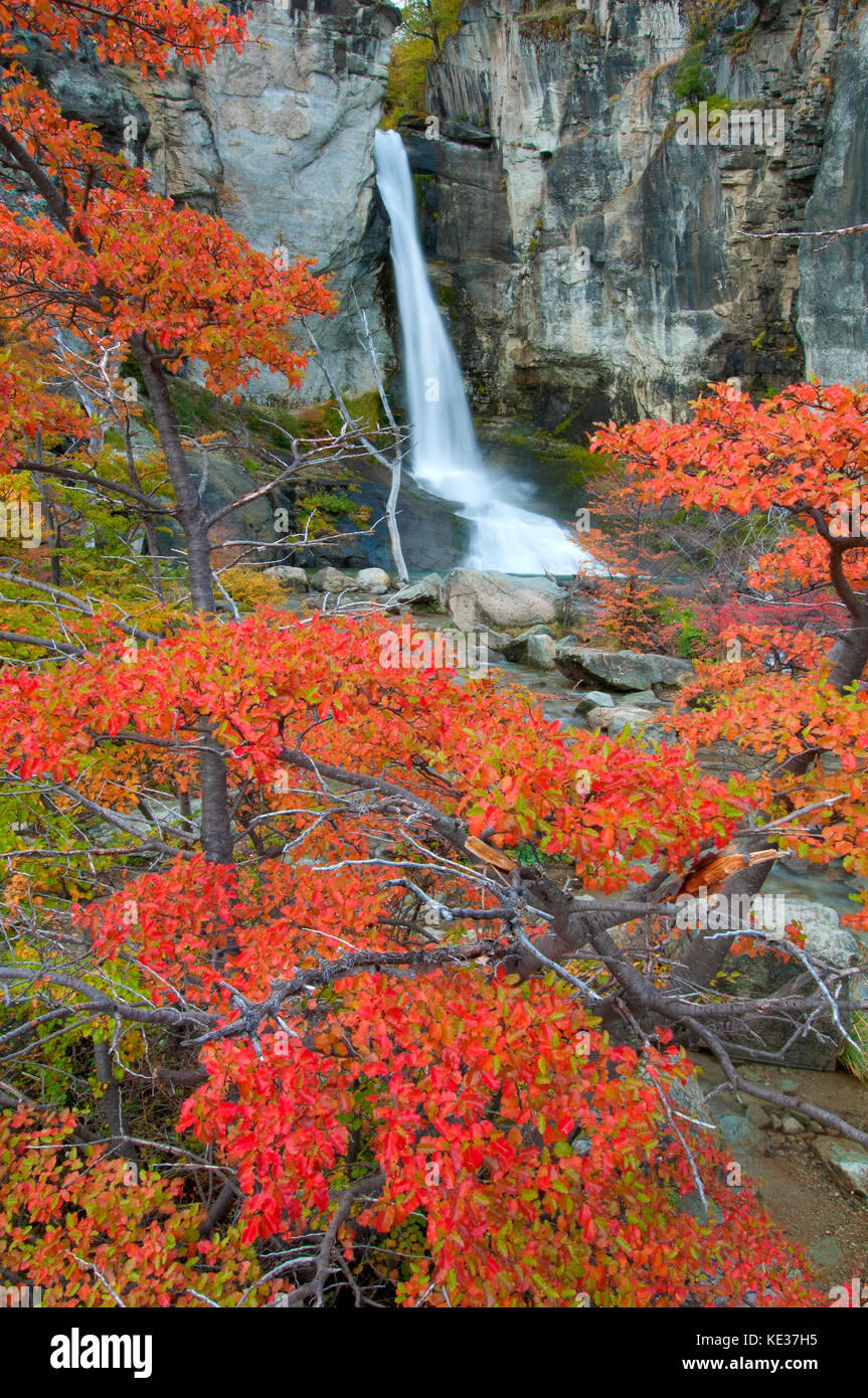 Chorrillo del Salto Wasserfälle, Los Galciares Nationalpark, südlichen Argentinien Stockfoto