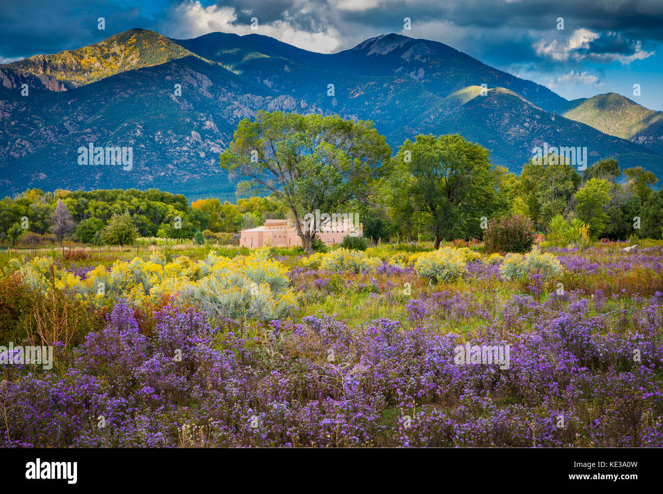 Wildblumen und Pueblo Peak in Taos, New Mexico Stockfoto