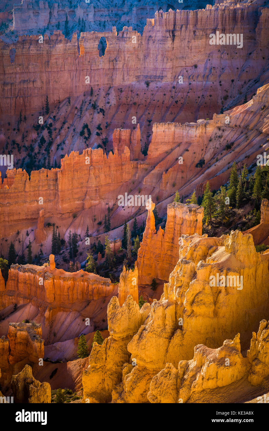 Bryce Canyon National Park, eine weitläufige finden im südlichen Utah, ist für Crimson bekannt - farbige Hoodoos, die spire-geformten Felsen. Die pa Stockfoto