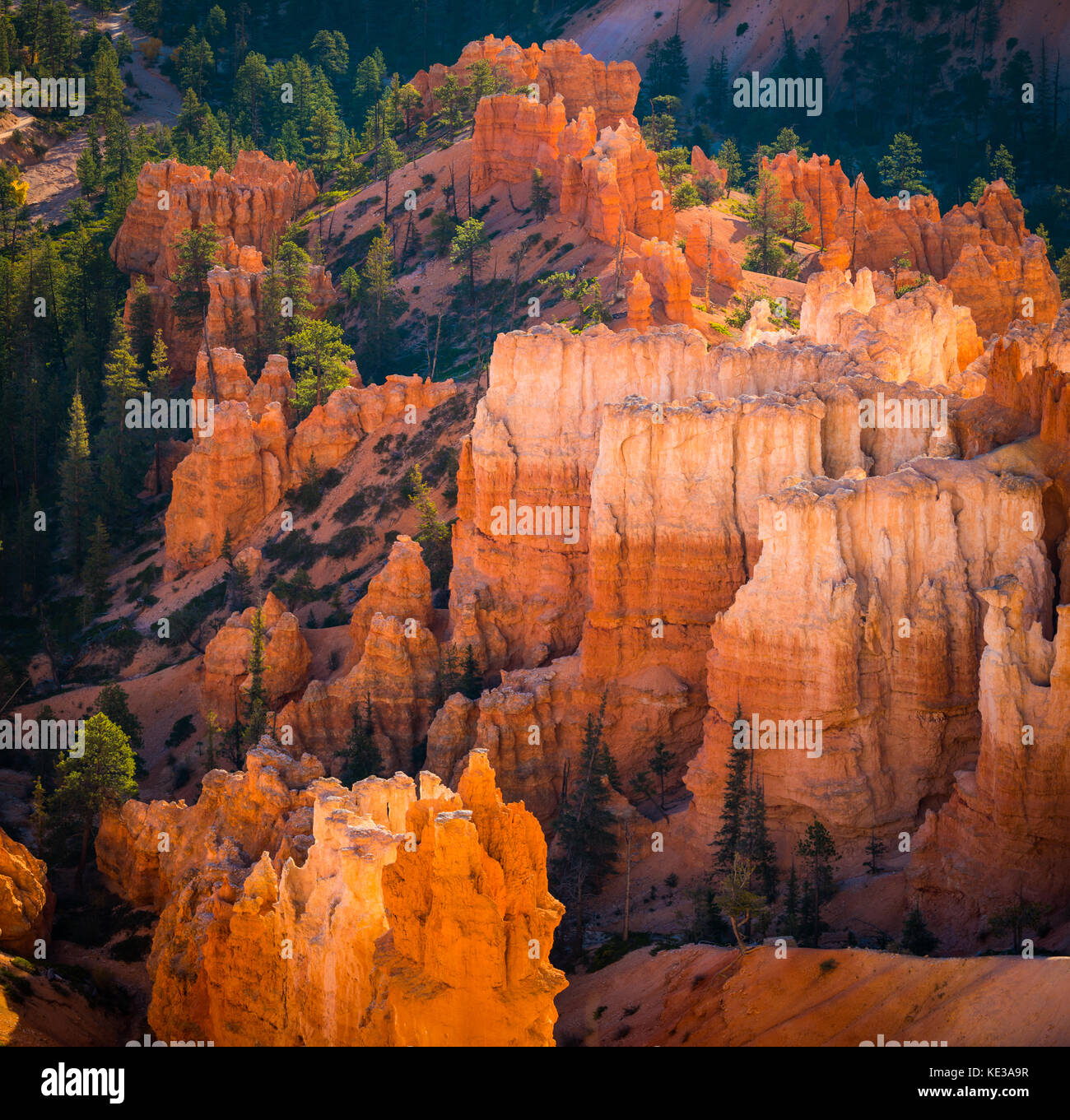 Bryce Canyon National Park, eine weitläufige finden im südlichen Utah, ist für Crimson bekannt - farbige Hoodoos, die spire-geformten Felsen. Die pa Stockfoto