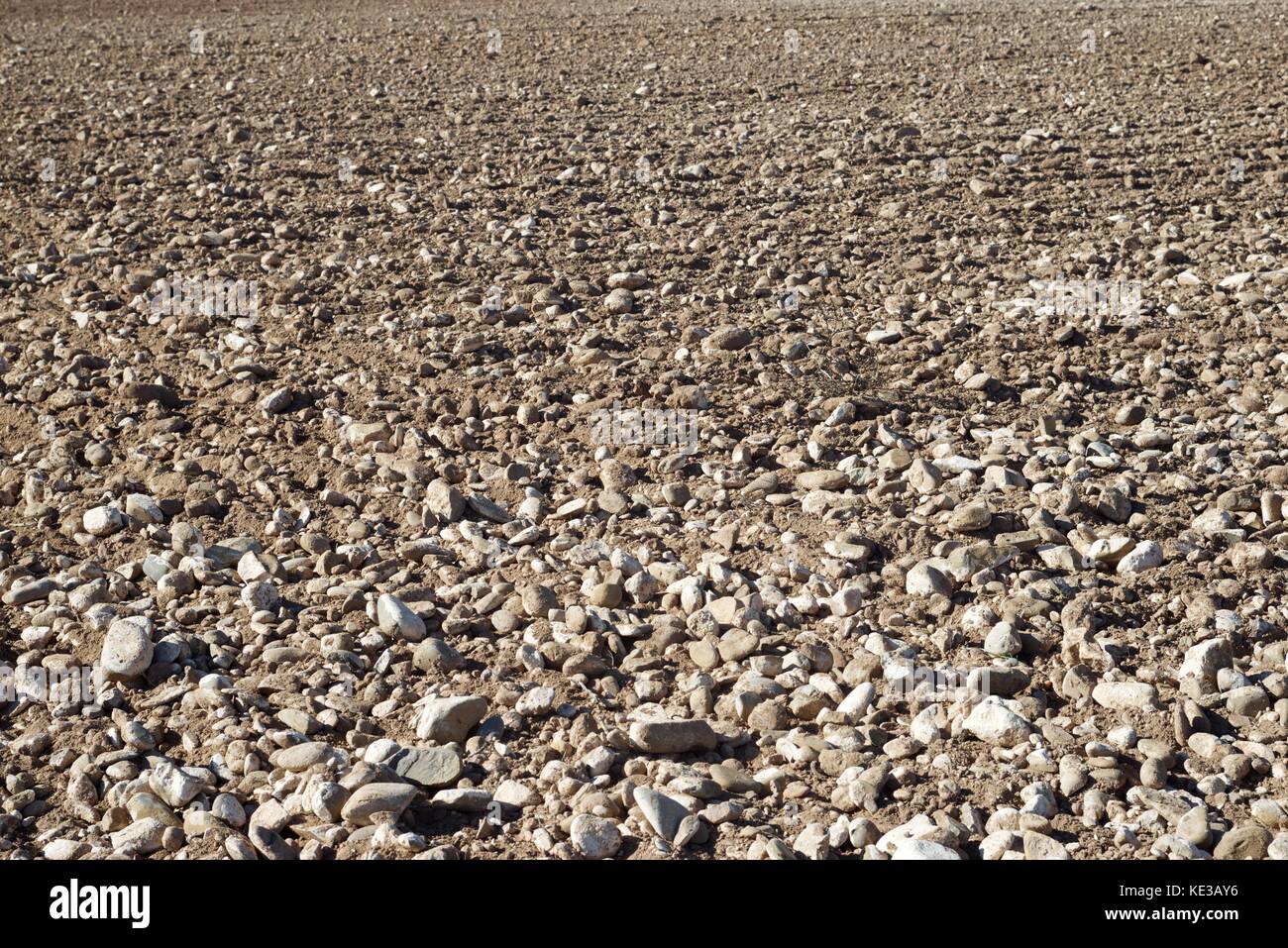 Textur eines gepflügten Feldes, Provinz Zaragoza, Aragon, Spanien. Stockfoto