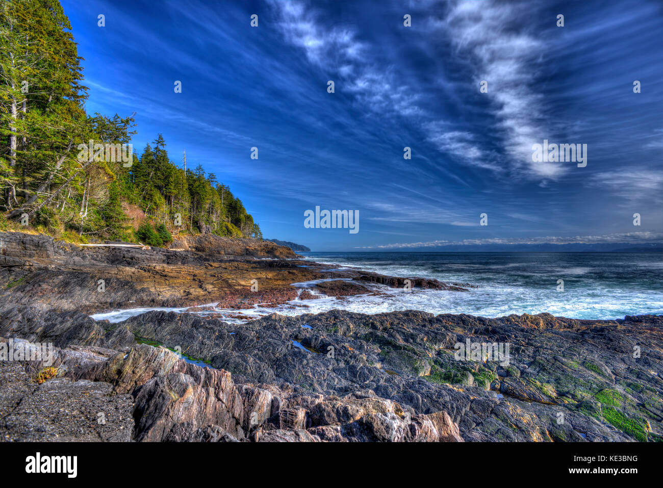 Juan de Fuca Trail - Vancouver Island, BC, Kanada Stockfoto