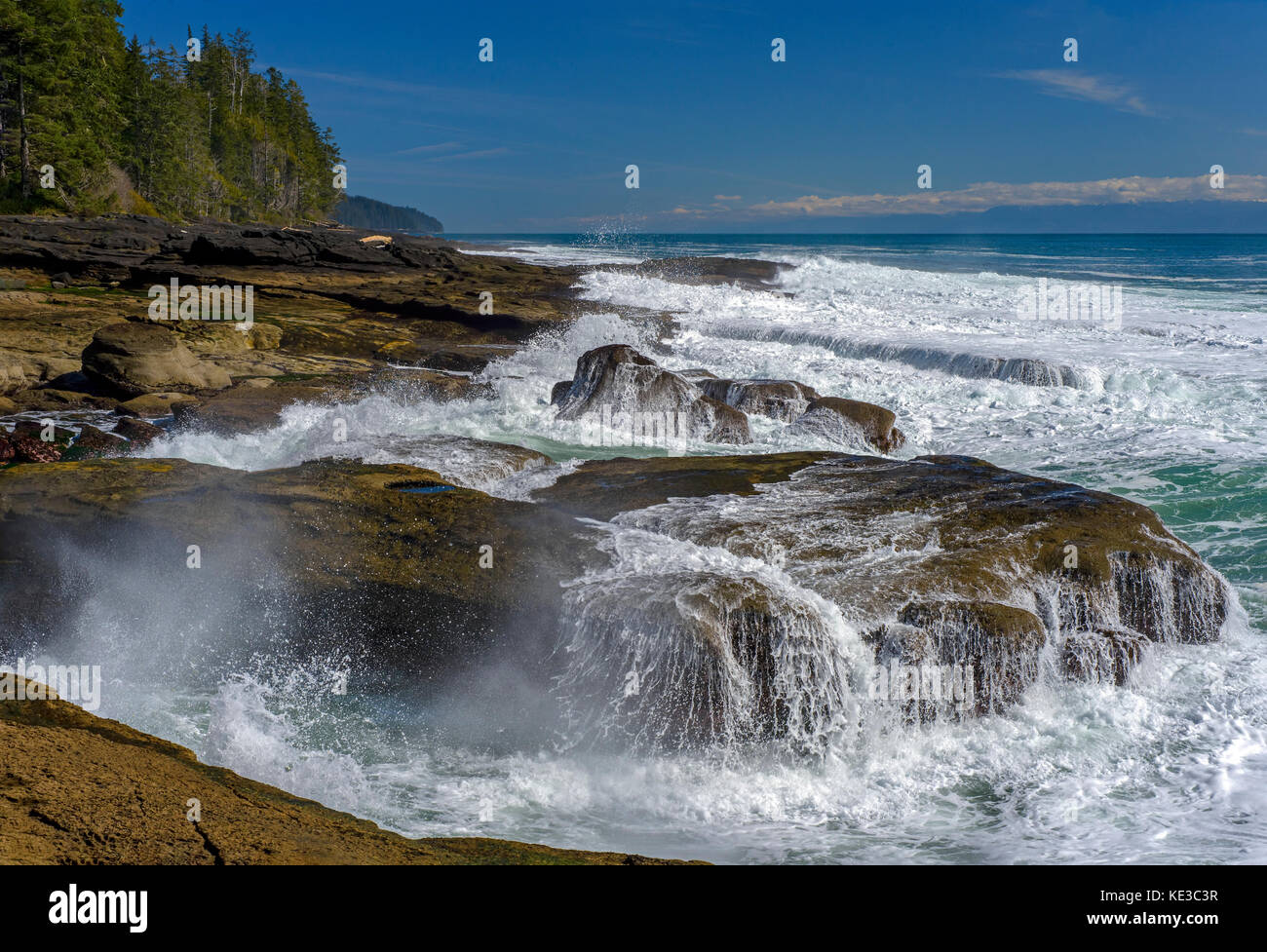 Juan de Fuca Trail - Vancouver Island, BC, Kanada Stockfoto