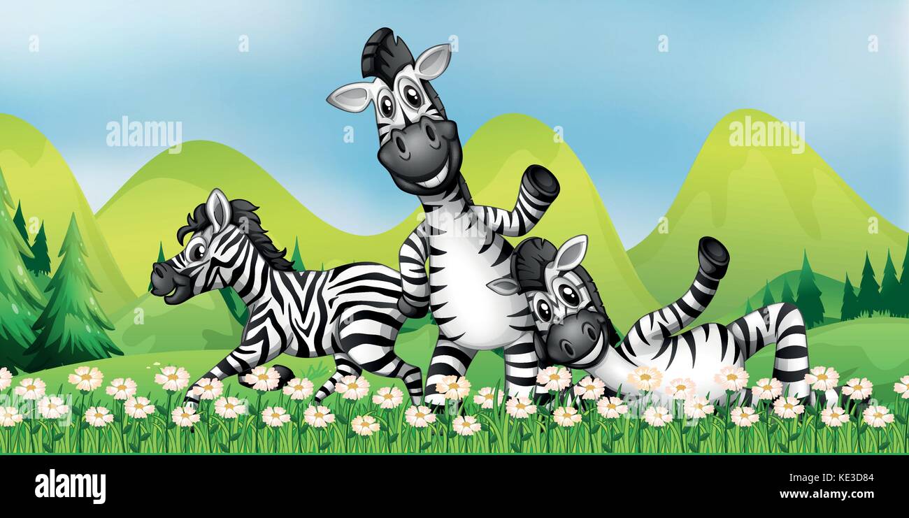 Drei Zebras in der Blüte Feld Abbildung Stock Vektor