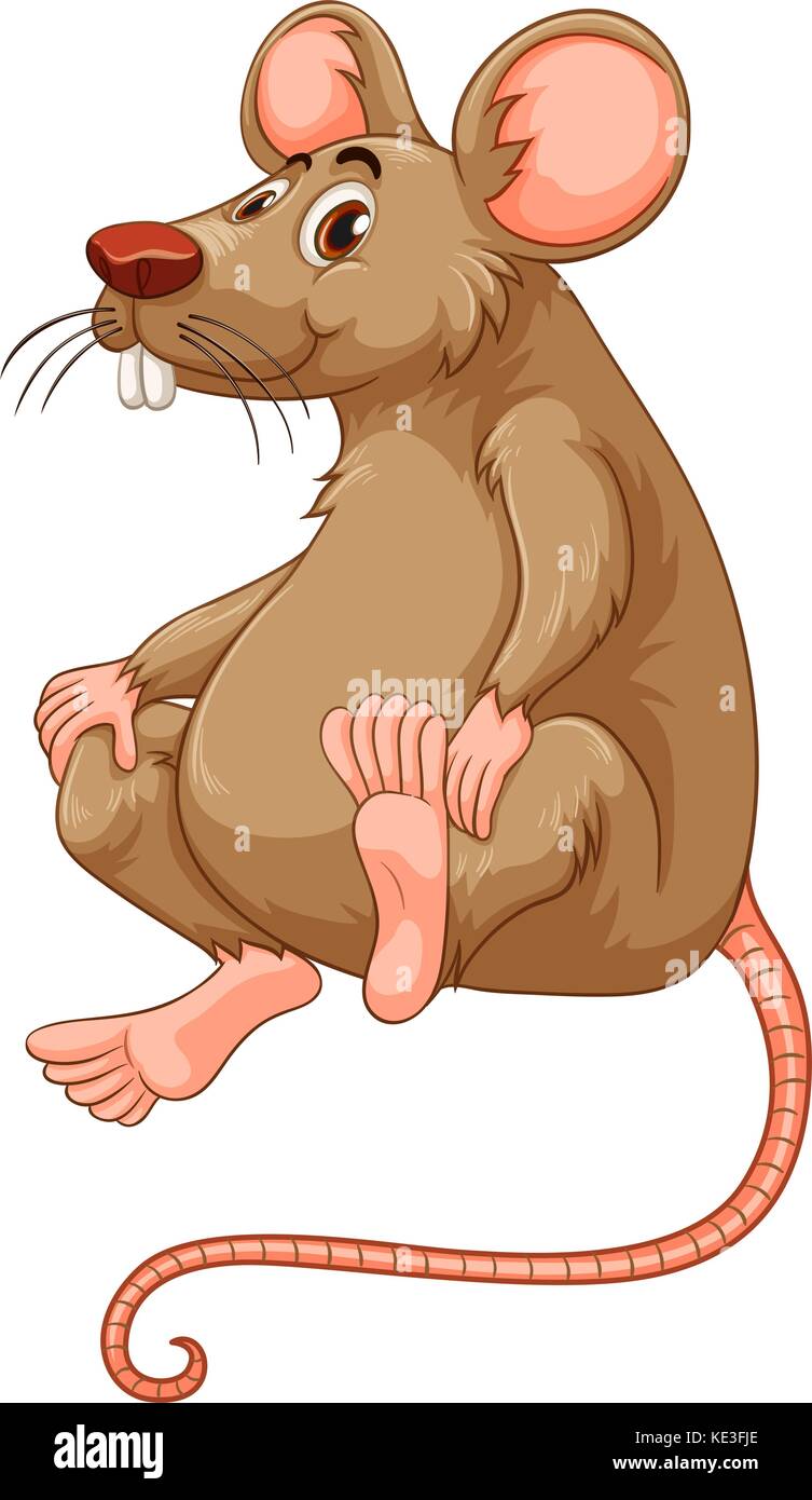 Kleine Maus mit braunem Fell Abbildung Stock Vektor