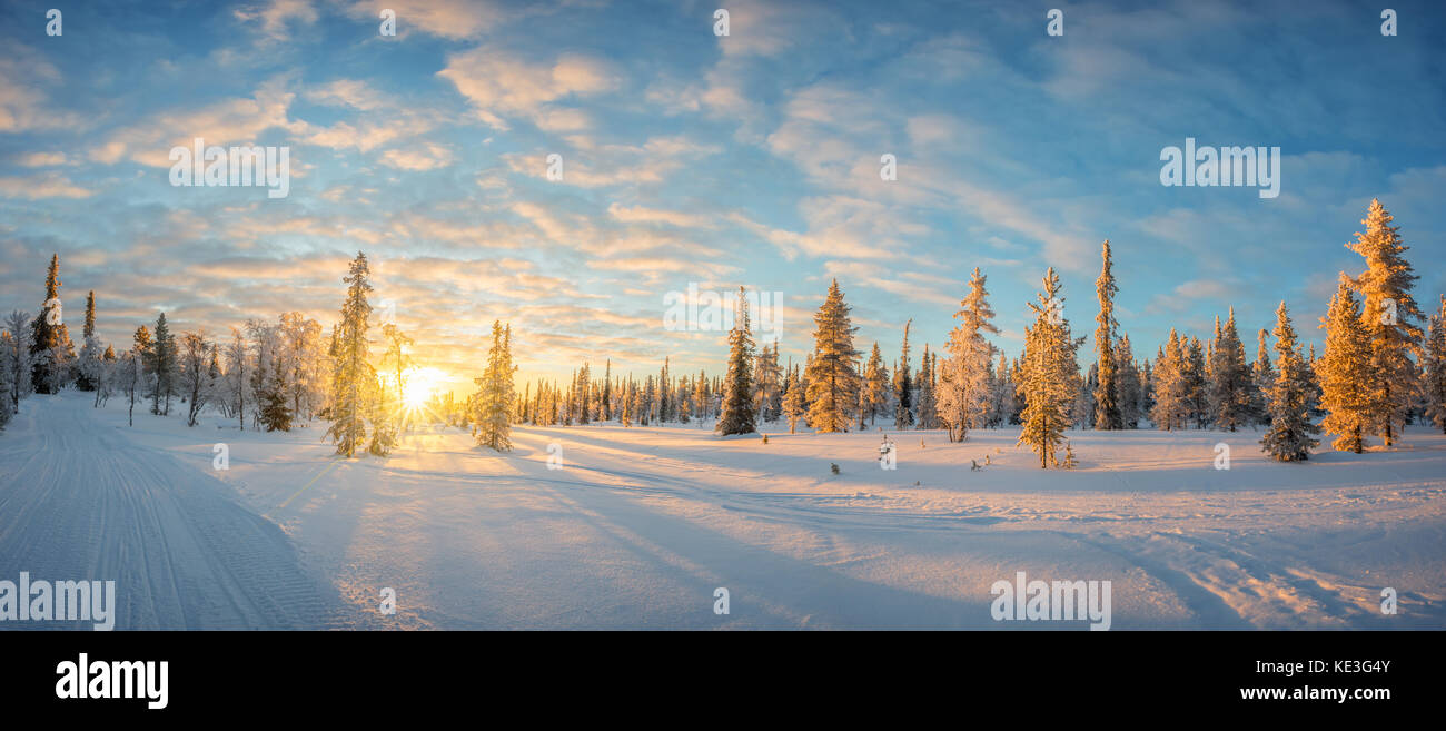 Verschneite Landschaft bei Sonnenuntergang, gefrorene Bäume im Winter in Saariselka, Lappland, Finnland Stockfoto