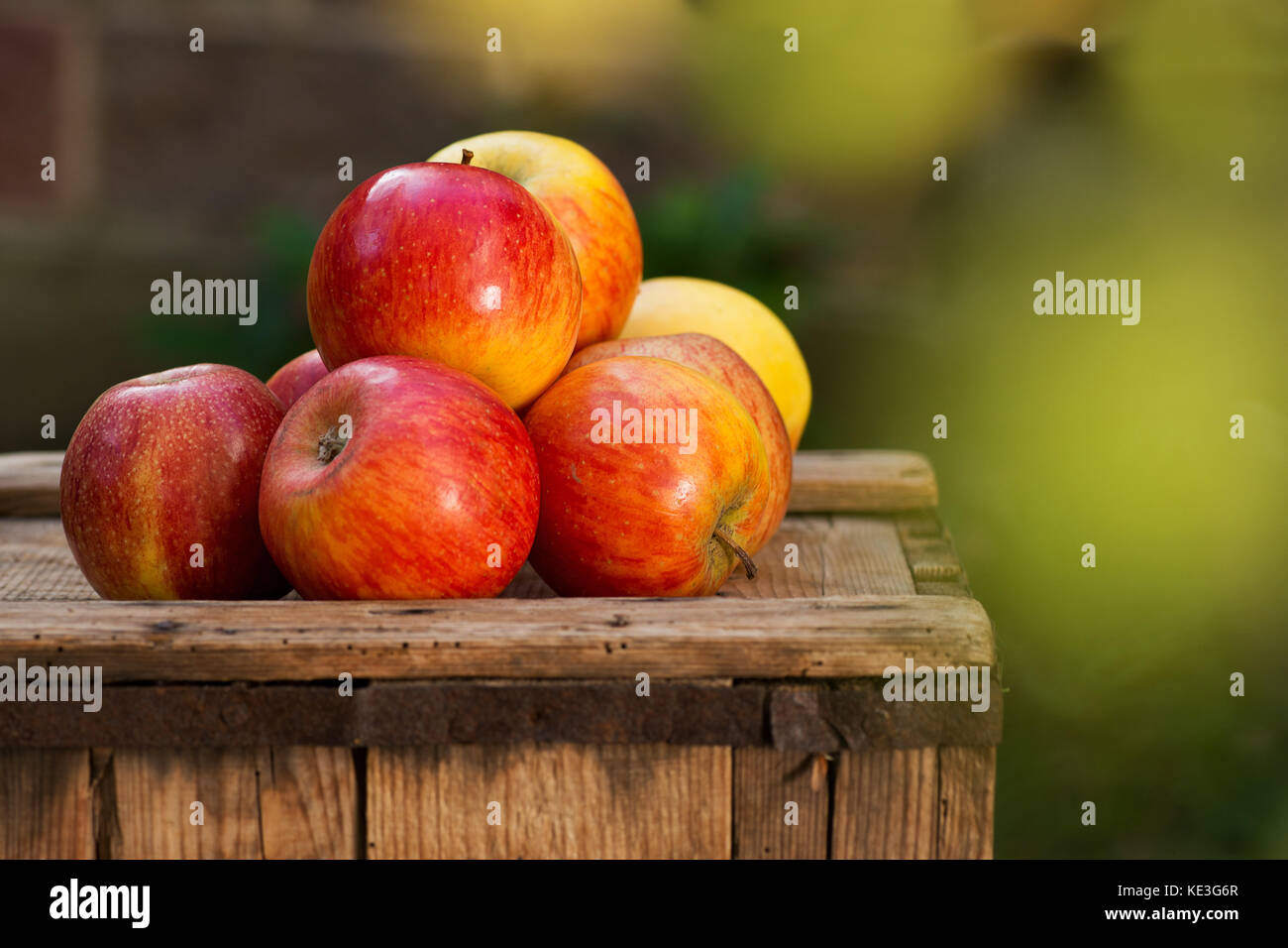 Rote Äpfel auf dem alten Holzkiste. Stockfoto