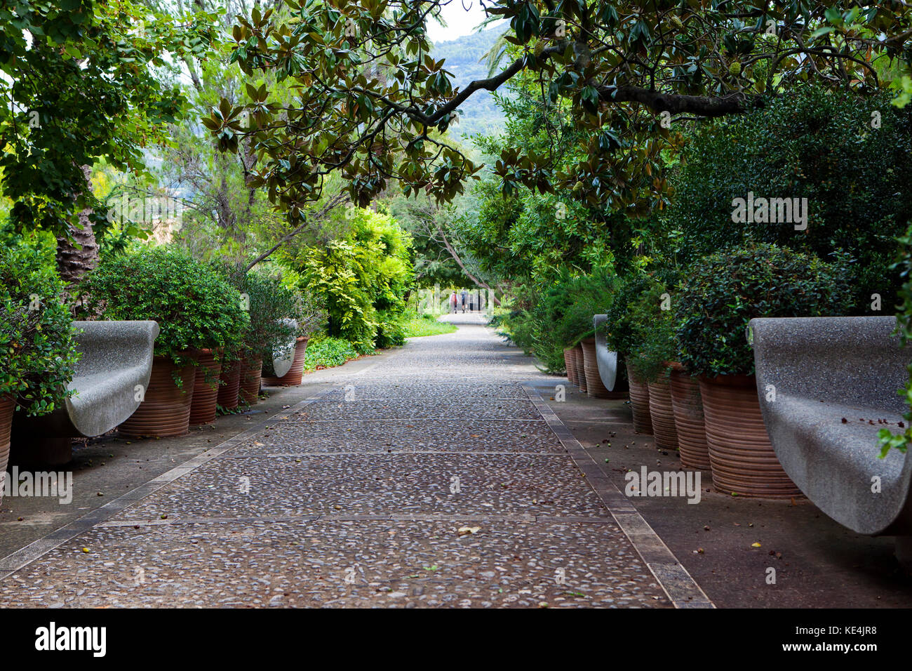 Botanischer Garten in Soller, Spanien, September 2017 Stockfoto