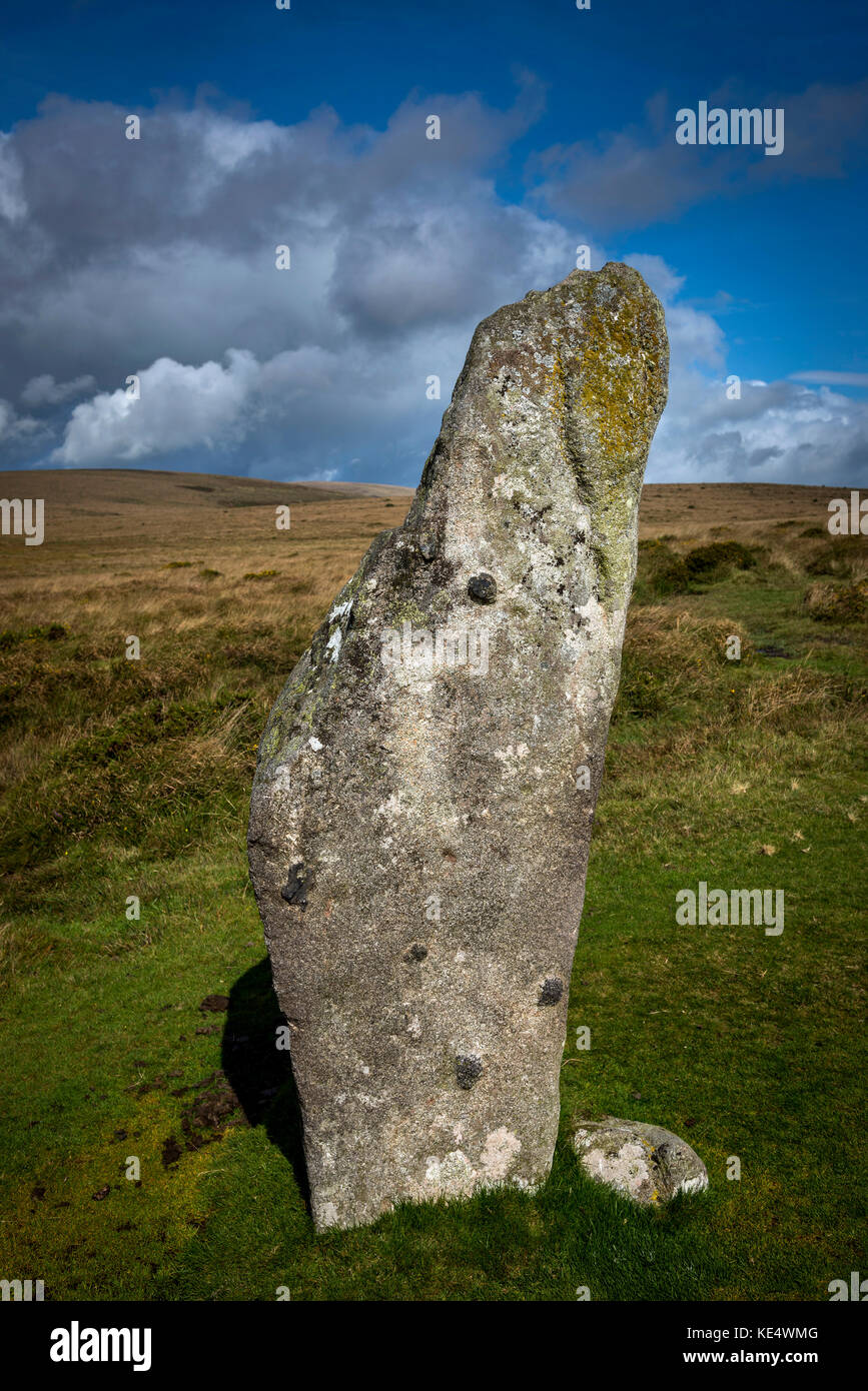 Den höchsten Stein auf Scorhill Bronzezeit Steinkreis in der Nähe von Gidleigh im Nationalpark Dartmoor, Devon, Großbritannien Stockfoto