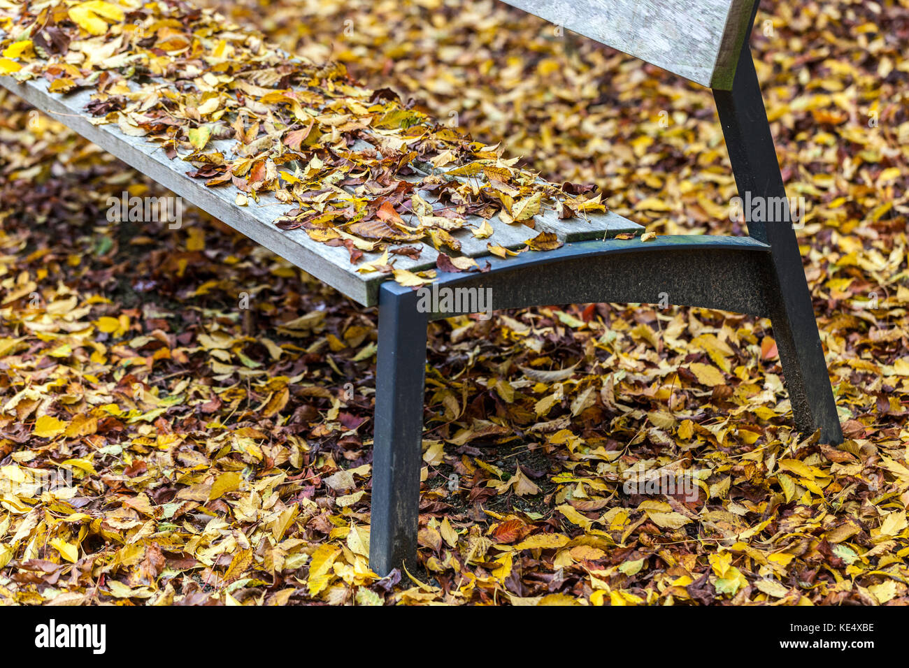 Herbst Gartenbank Blätter auf dem Boden fallen, Bank Park leer Stockfoto