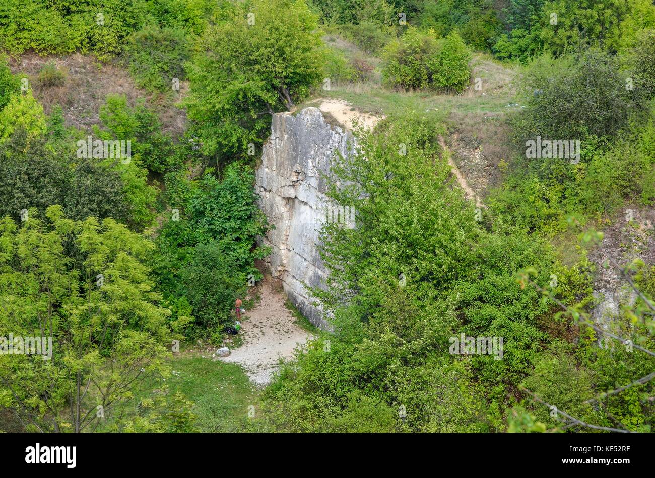 Felsen unter grünen Bäumen. Felsen von twardowski an der Lagune von zakrzowek in Krakau, Polen. Stockfoto