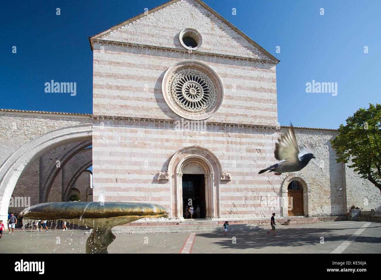Italienische gotische Basilika di Santa Chiara (Basilika der Hl. Klara) an der Piazza Santa Chiara in Assisi, Umbrien, Italien. 27. August 2017 © wojciech Strozyk/ Stockfoto