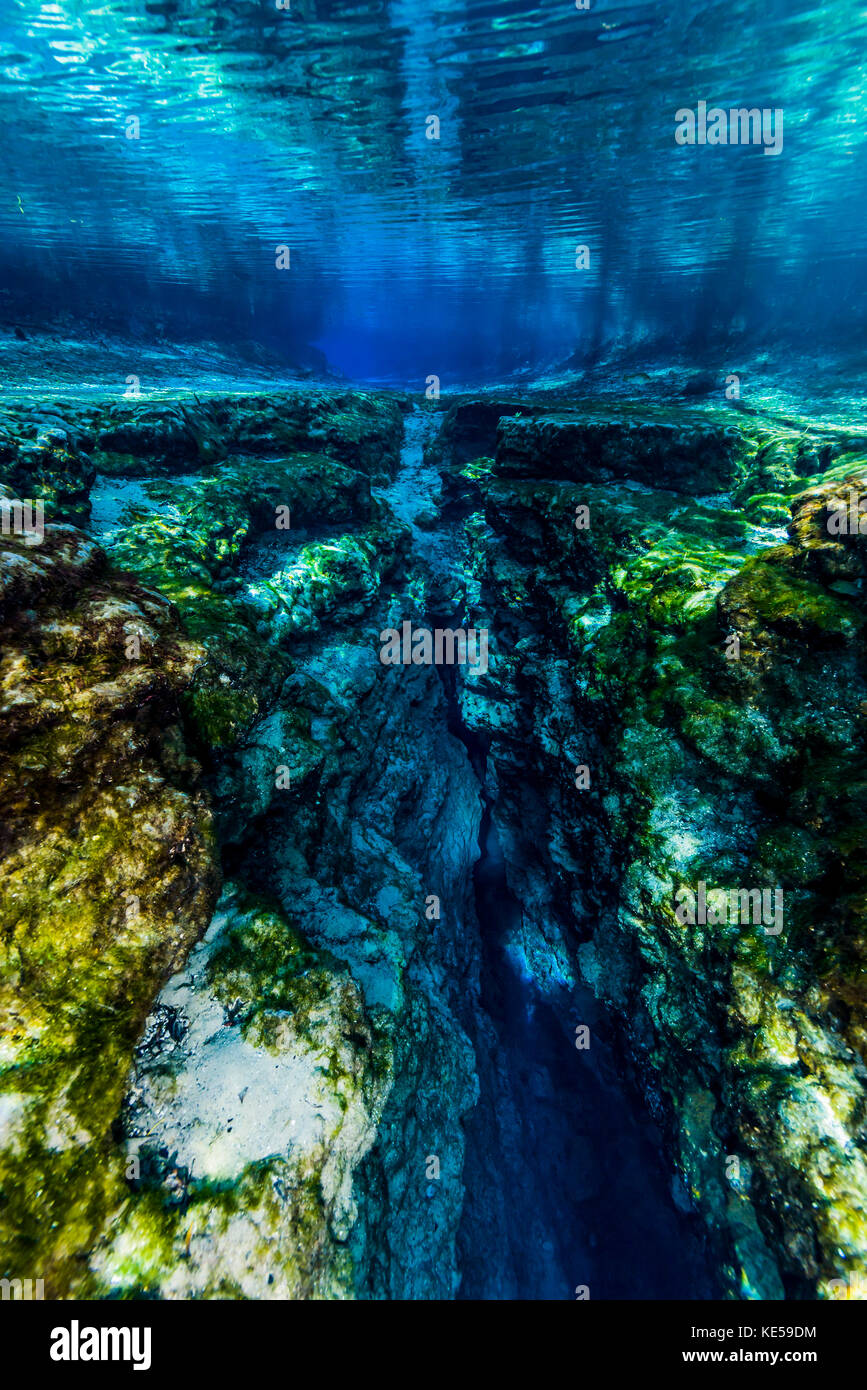 Ginnie Springs in Florida. Stockfoto