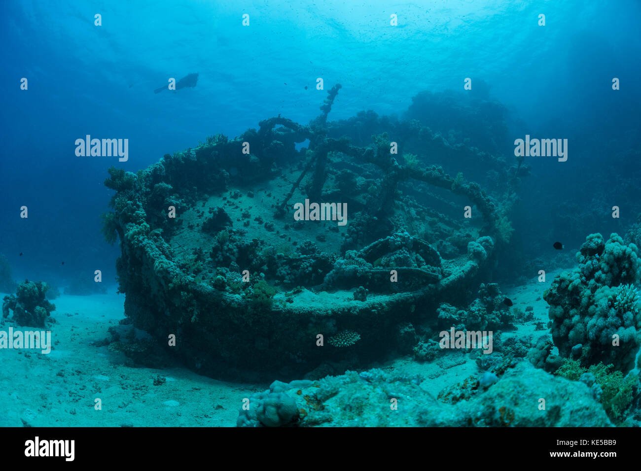 Wrack Tug Boat tien sien, Fury Shoal, Rotes Meer, Ägypten Stockfoto