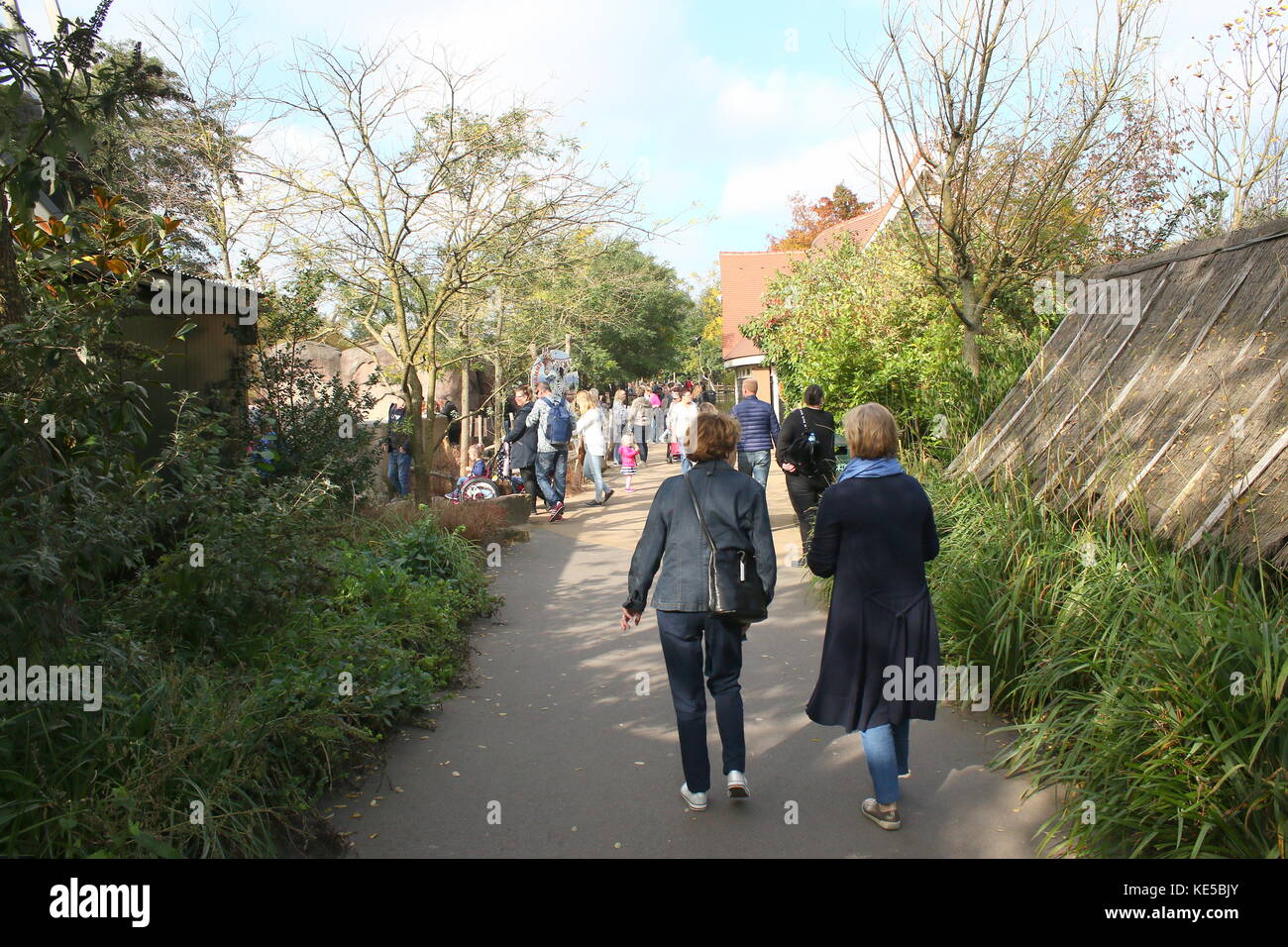 Besucher Zoo Blijdorp in Rotterdam, Niederlande. Stockfoto