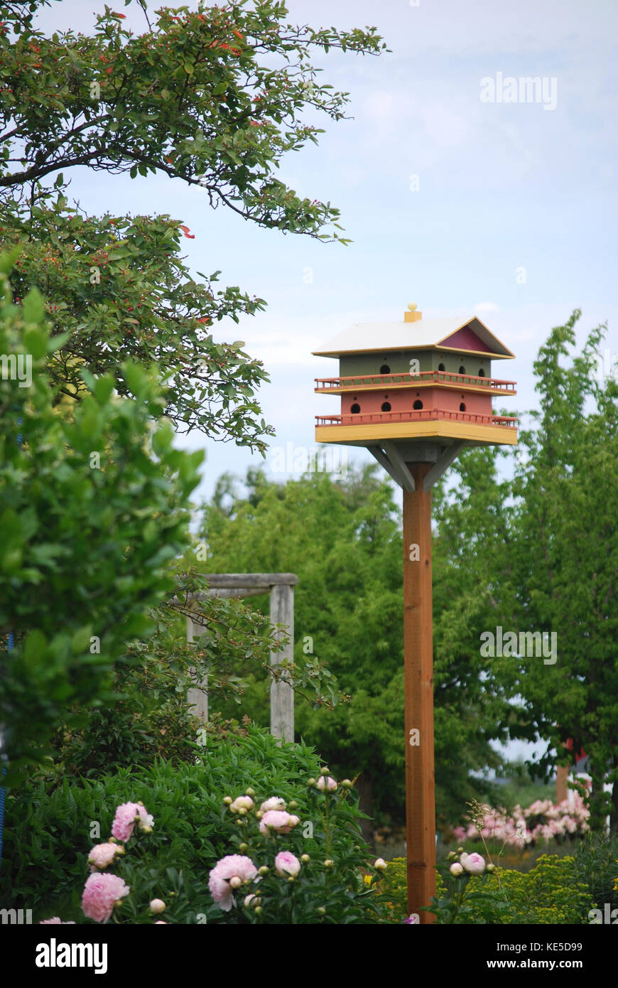 Vogel Haus im Sommer Garten Stockfoto