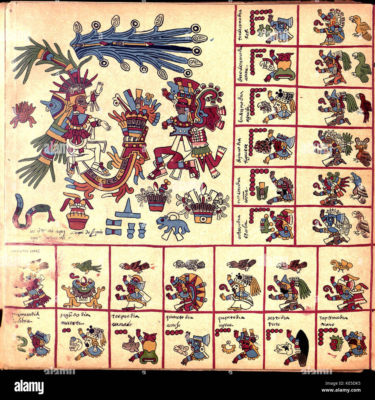 Codex Borbonicus (s. 9) Stockfoto