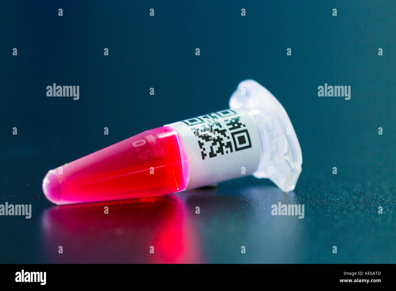 Zentrifuge Reagenzgläser für genetische Identifikation von Eltern, DNA-basierte Identifikation von Menschen QR-Code Stockfoto