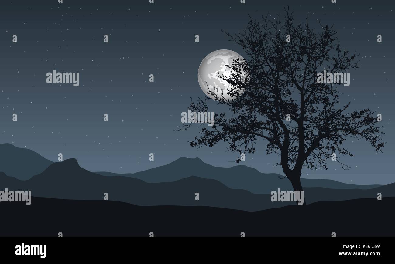 Vector Illustration eines Panoramablick nacht Berglandschaft mit Baum, unter dem Himmel mit Mond und Sterne mit Platz für Text Stock Vektor