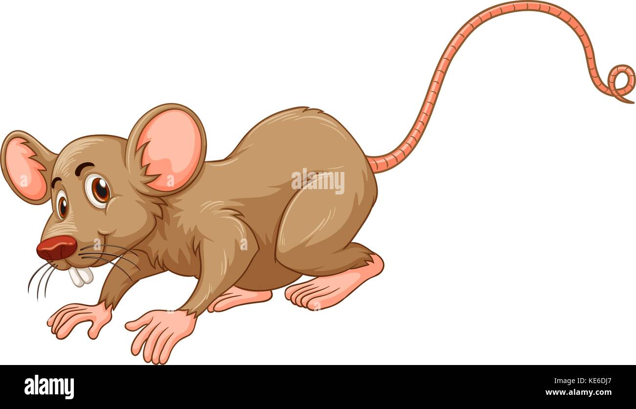 Kleine Maus mit Dummem Gesicht Abbildung Stock Vektor